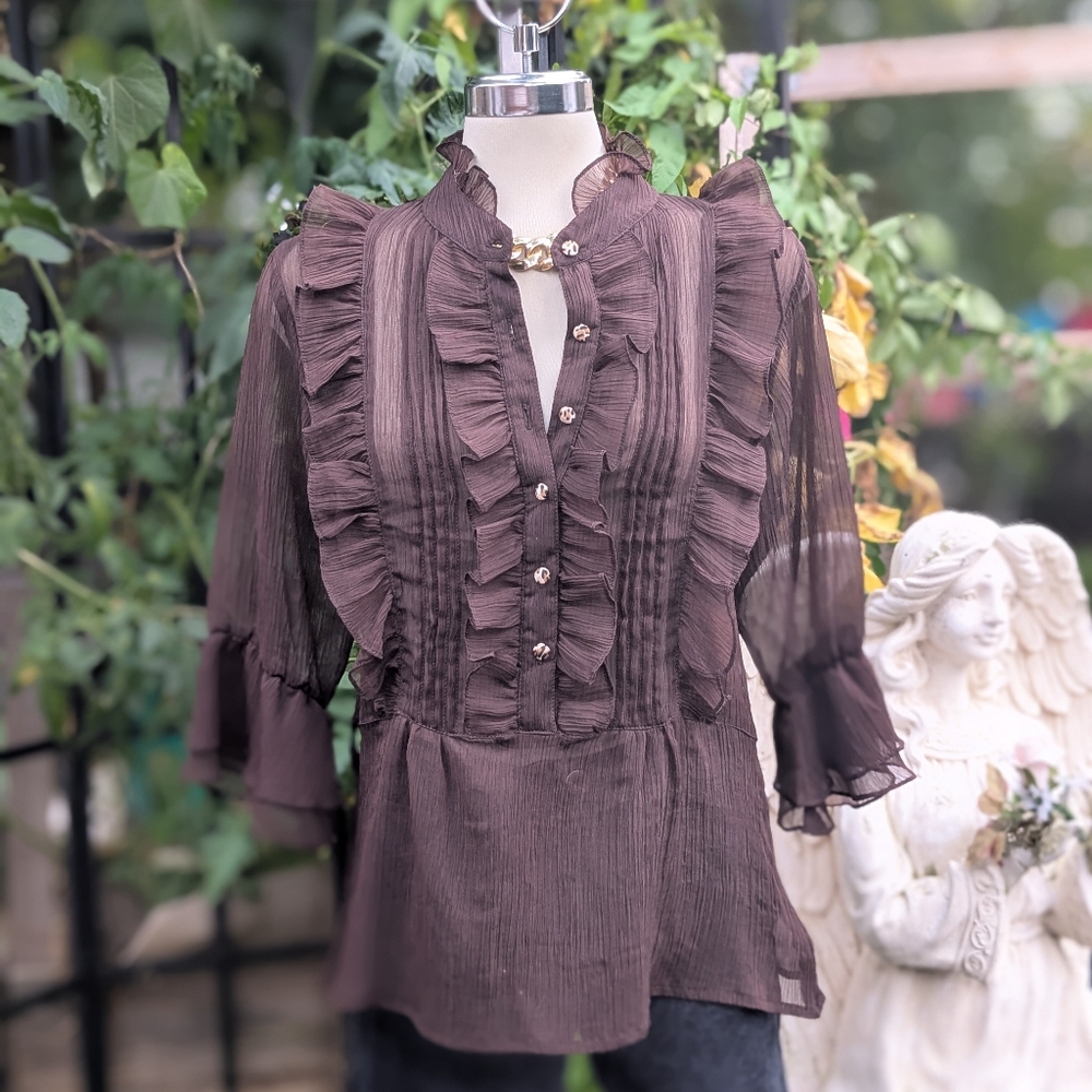 Mix Nouveau New York Elegant Brown Semi Transparent Ruffle Blouse Size XL.
